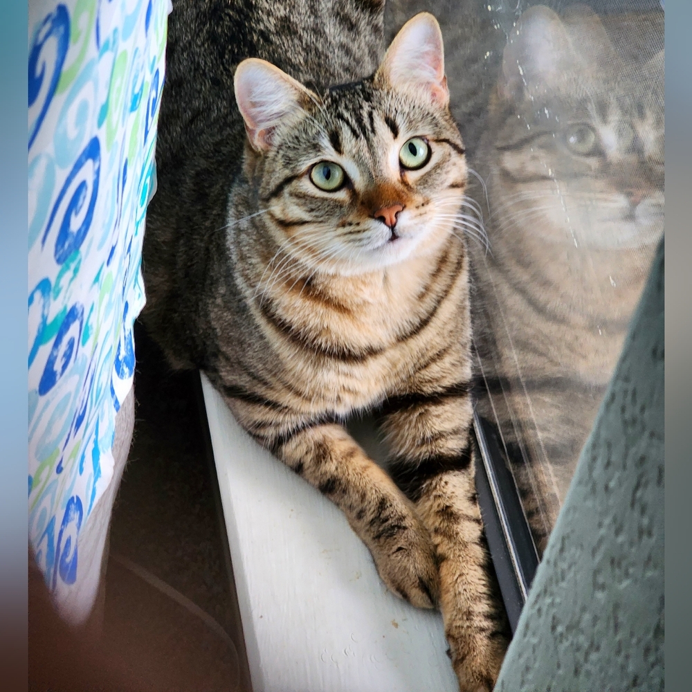 Meet your Posher, Tia